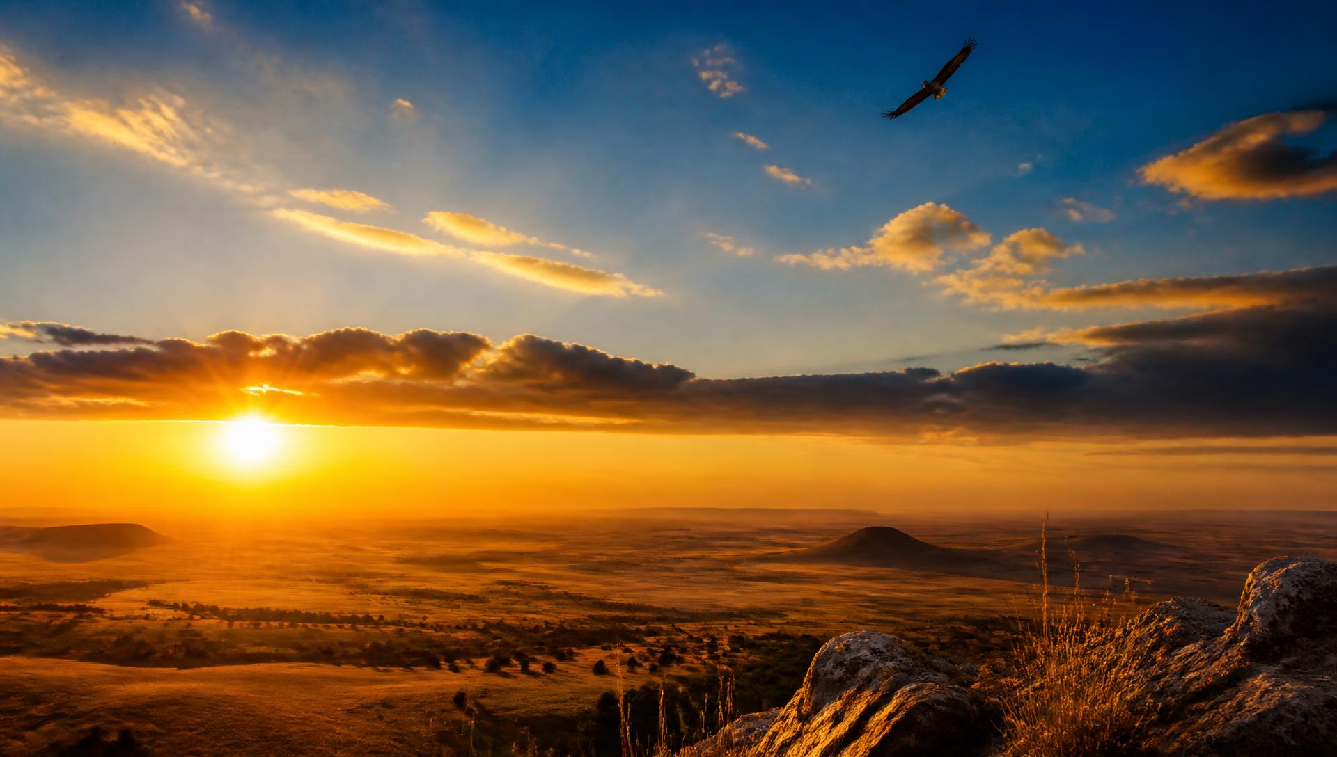 Sunrise over the South African countryside with a bird flying high